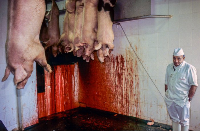 Catalan Rural People